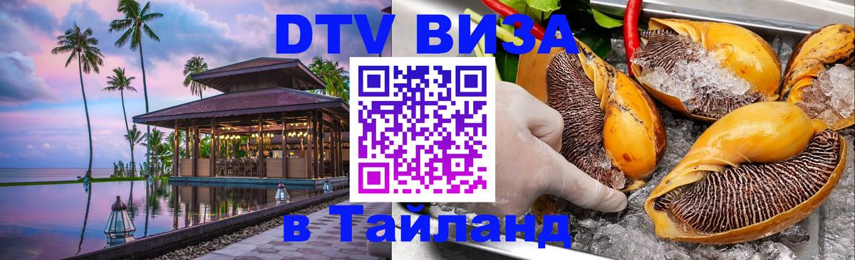 Оформление DTV визы под ключ: стоимость и тарифы, только загранпаспорт - Нальчик 